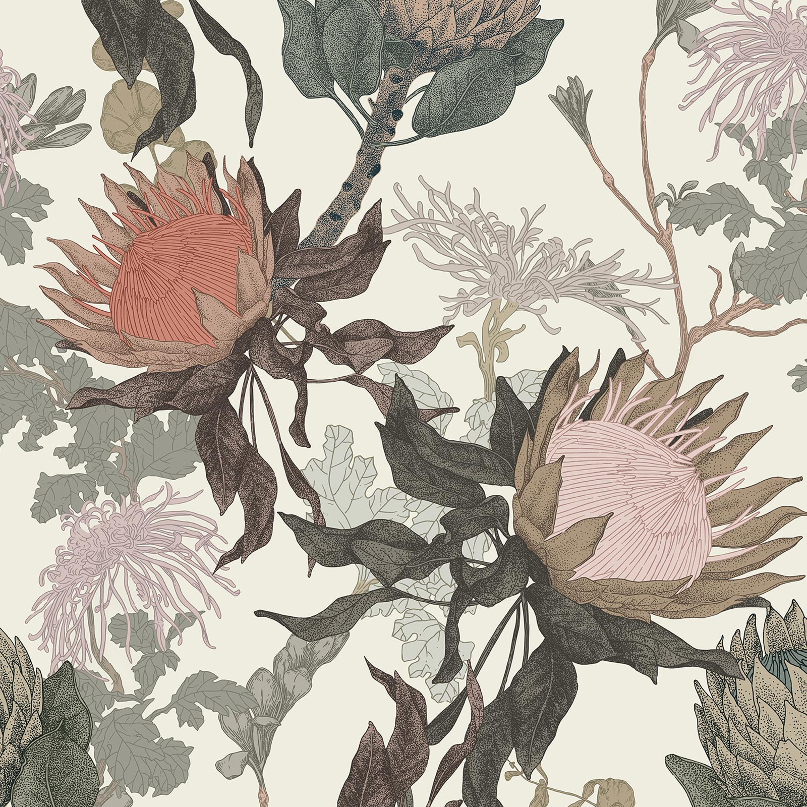 Proteas' Dream Cream Wallpaper is an invigorating multi-hued floral ...